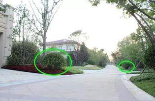 绿化植物配置的基础点和反季节施工重点