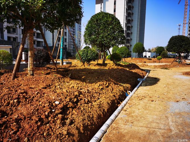 花家地最新工程进度,小区园林绿化全面种植!_广水房网