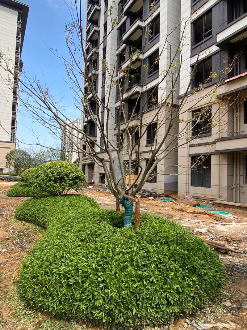 园林绿化工程 #小区绿化 #庭院设计施工 #景观工程 #花