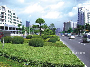 招聘信息 公司前景 规模 待遇怎么样