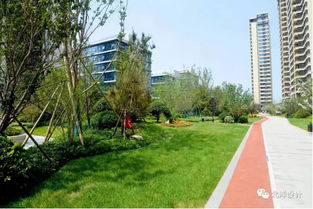 精文绿化 ┃金茂 中欧国际城 a2地块 景观施工 公园式社区