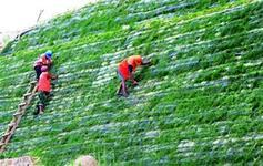 生态袋施工方法 河道护坡生态袋 植草生态袋,生态袋施工方法 河道护坡生态袋 植草生态袋生产厂家,生态袋施工方法 河道护坡生态袋 植草生态袋价格