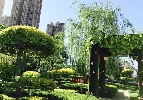 科普贴士 园林绿化对购房的重要性
