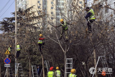 北京市石景山区园林绿化局绿化工程二队