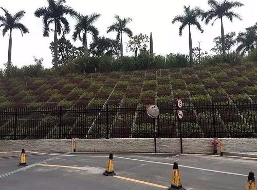 生态绿化护坡施工工艺