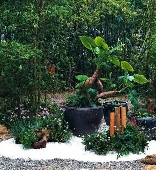 转型的十字路口,园林绿化行业到底该怎么走