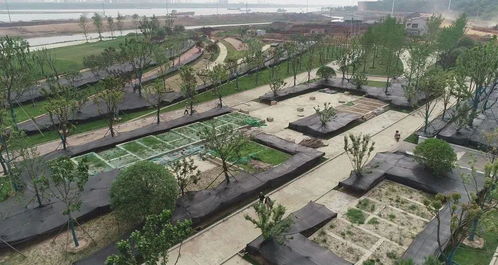 城市项目 鄂州首个水上植物园开园时间定了
