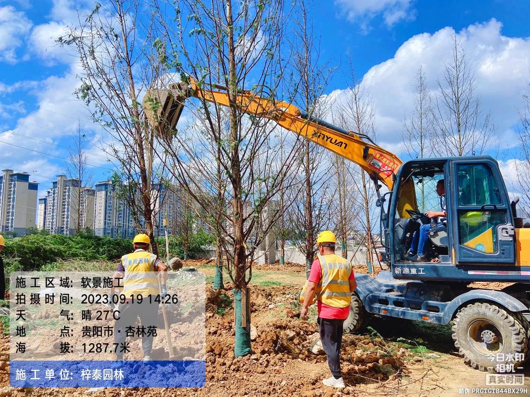 园林绿化工程苗木人 #施工现场实拍 #市政工程 #小区绿化 - 兑趑