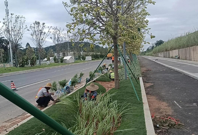 天津耐用园林绿化工程施工预算