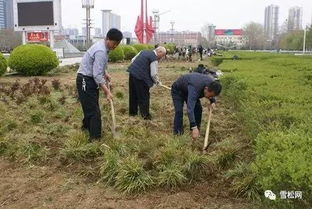 园林绿化工程施工技术规范大全 万字长文