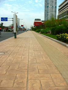 亚石供应无锡市公园路面彩色混凝土压模地坪