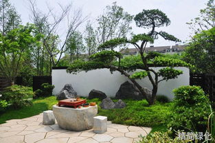 人承接各种风格庭院景观设计施工,承接私家庭院 小区等绿植养护维护管理