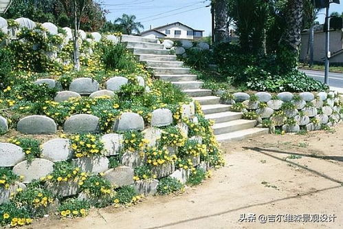 园林绿化 挡土墙的施工做法