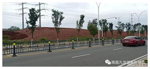 南昌九龙湖大型公园绿化用地施工忙 有点坡度更有特色