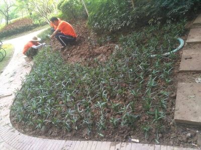 简单的工作,每天重复做好