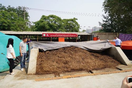 膜式好氧堆肥技术实现园林绿化废弃物变废为宝