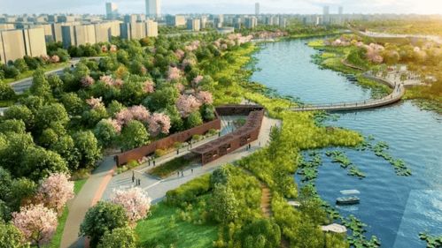 读懂洋房 地段、园林与稀缺价值