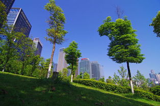 福建出台园林绿化工程招标新规 规范施工管理