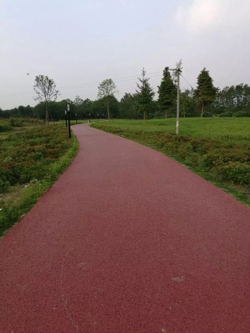 新疆喀什园林景观透水路面彩色透水混凝土设计