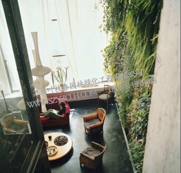 苏州绿化工程与垂直绿化设计方案及施工服务指南