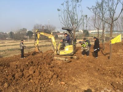 应城新年前将建成又一靓丽绿化节点