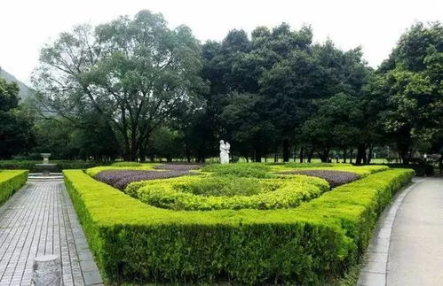 园林绿化新趋势下的苗木市场分析与施工要点