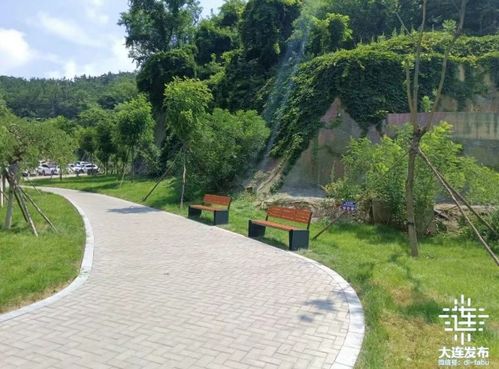 大连新添48座口袋公园，城市绿化再升级