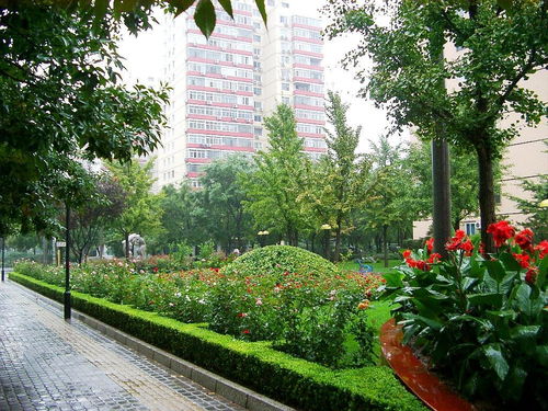 宿迁绿旺园林绿化 专业园林绿化工程施工服务