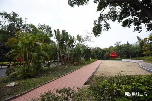 提升城市风貌 绿化品质工程与园林绿化施工实践