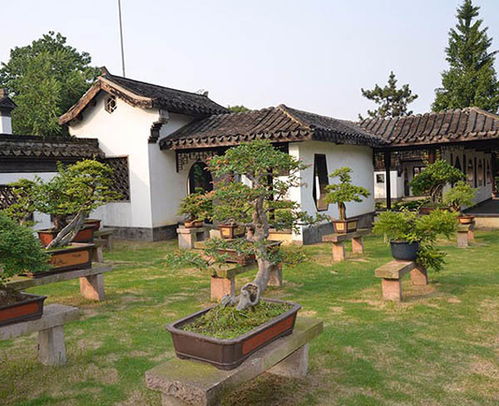 学校园林绿化工程常用指南,百通生态环境
