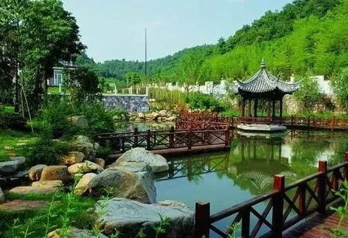 华东地区苗木交易市场行情不错,这些热销苗木你种了吗