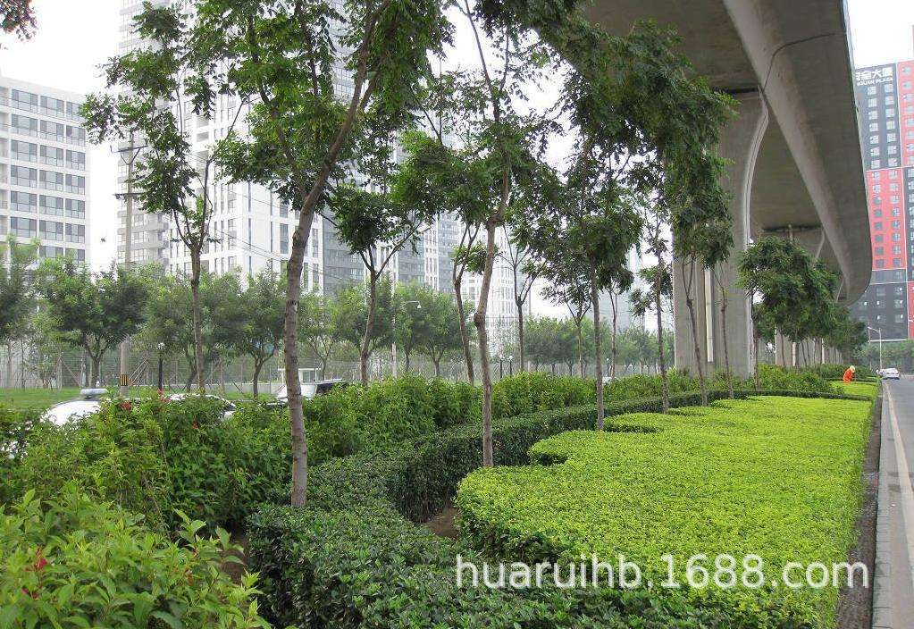 供应东莞市园林绿化养护 打药 割草 东莞市绿化管理 东莞花草修剪